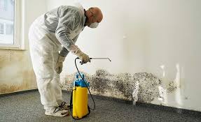  , USA Mold Removal & Remediation Pros